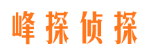 金山屯侦探调查公司